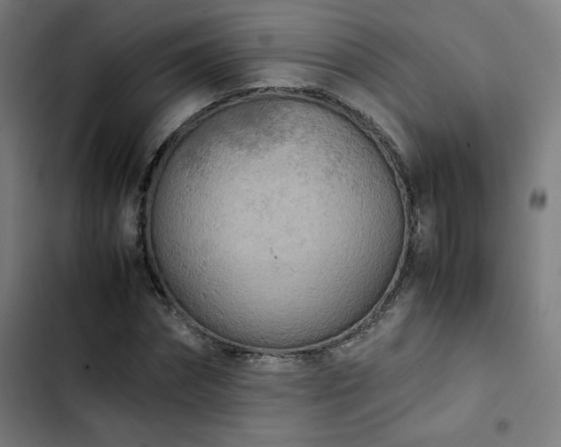 X0000103270874200809051504