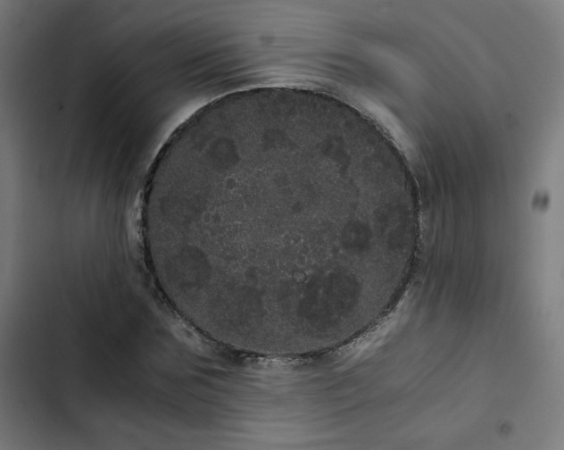 X0000103270875200809051504