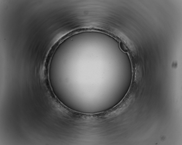 X0000103270876200809051504