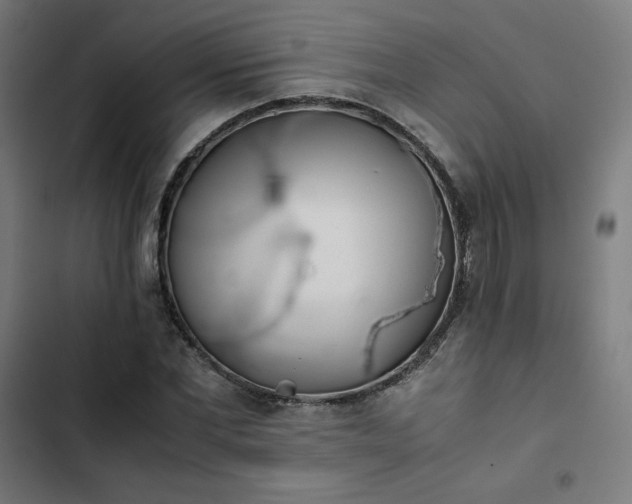 X0000103270877200809051504