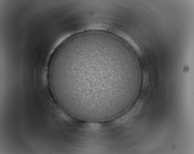 X0000103270878200809051504