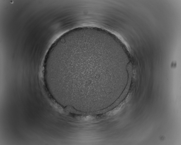 X0000103270879200809051504