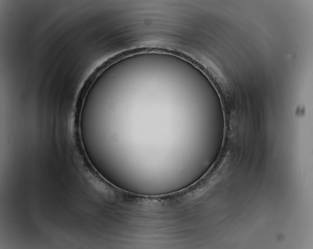 X0000103270880200809051504