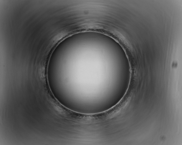 X0000103270881200809051504