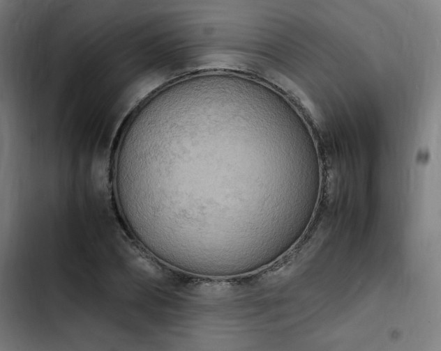 X0000103270882200809051504