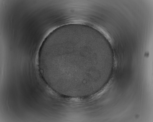 X0000103270883200809051504