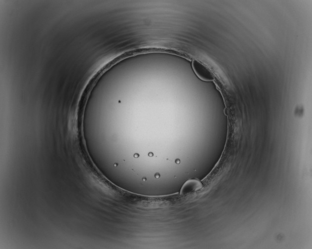 X0000103270884200809051504