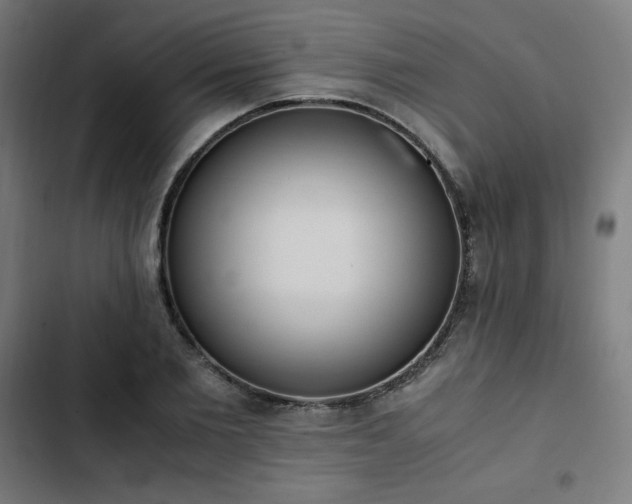 X0000103270885200809051504