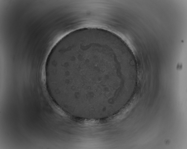 X0000103270887200809051504