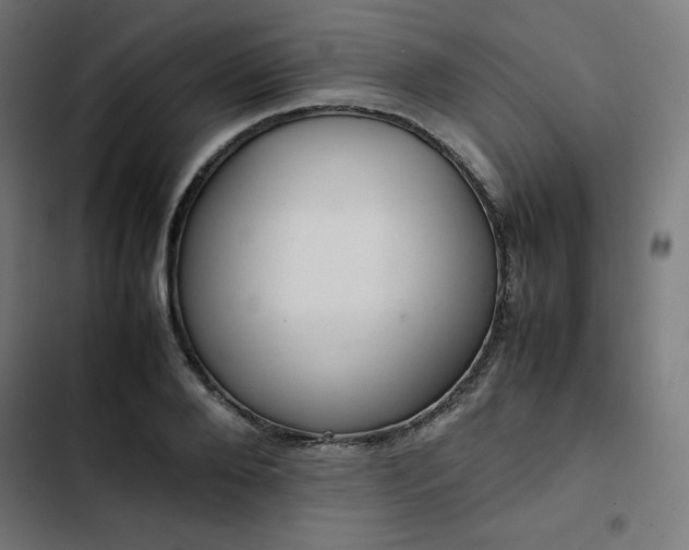X0000103270888200809051504