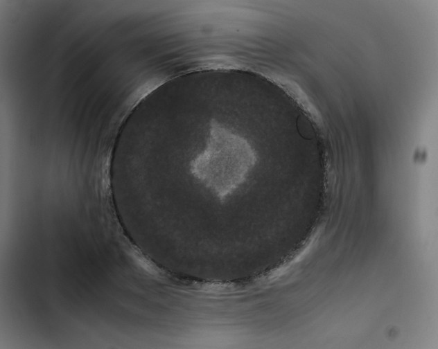 X0000103270889200809051504