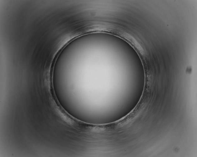 X0000103270890200809051504