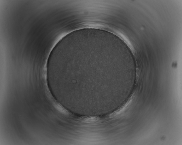 X0000103270891200809051504