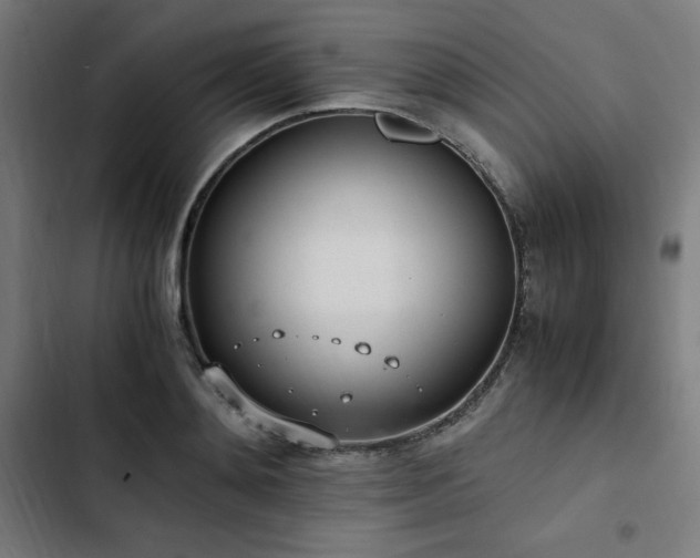 X0000103270892200809051504