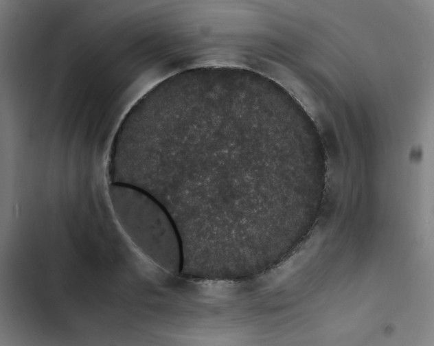 X0000103270893200809051504