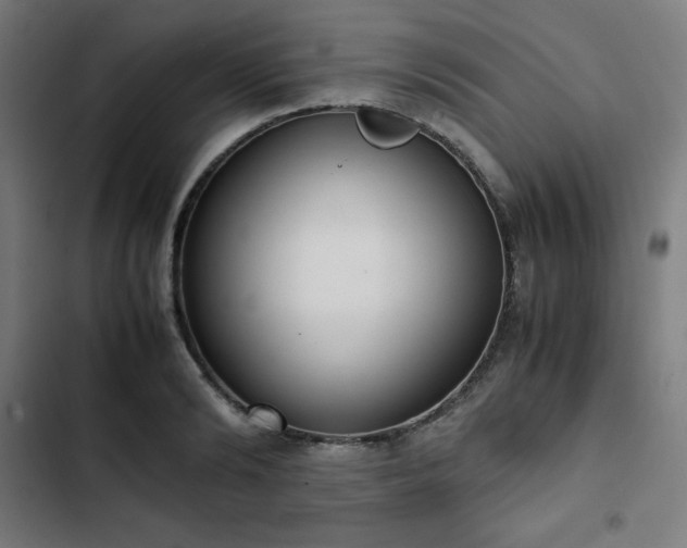 X0000103270894200809051504
