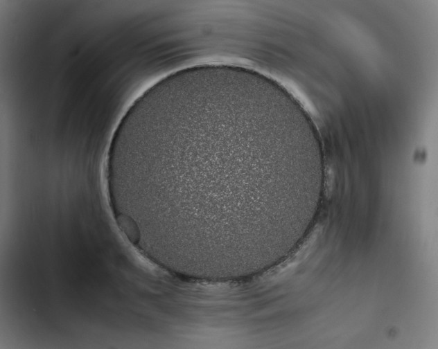 X0000103270895200809051504