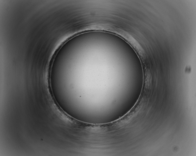 X0000103270896200809051504