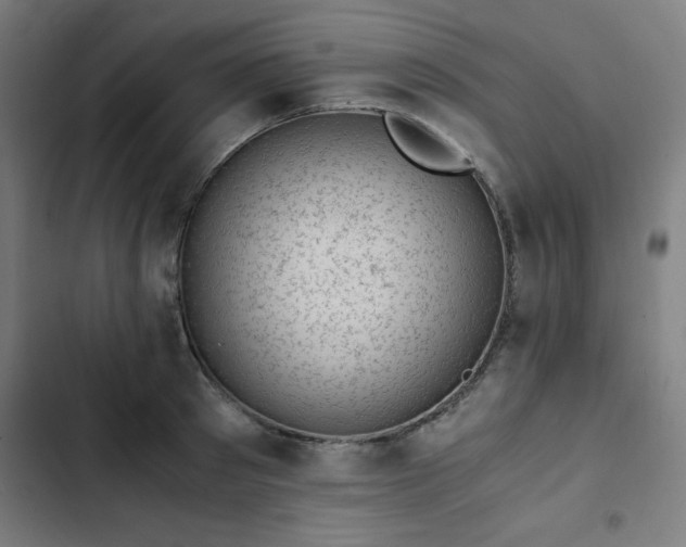 X0000103270897200809051504