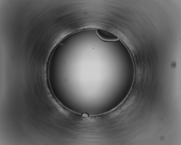 X0000103270898200809051504