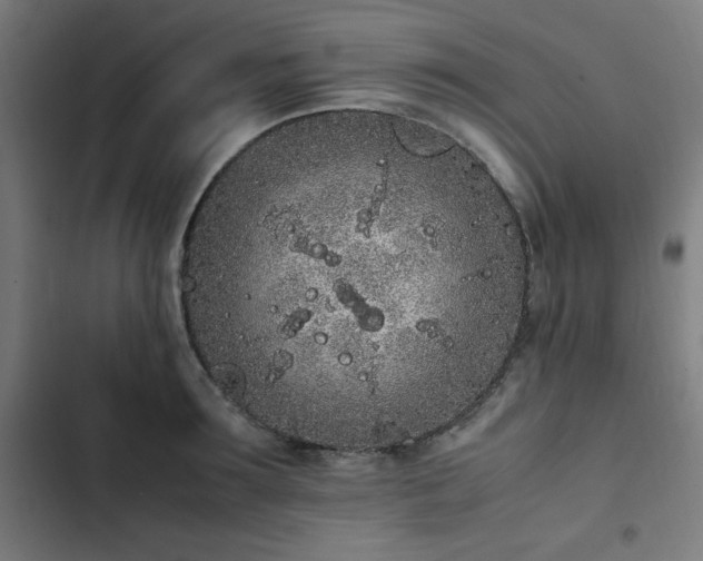 X0000103270899200809051504