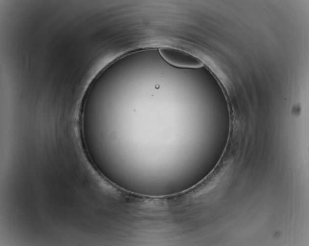 X0000103270901200809051504