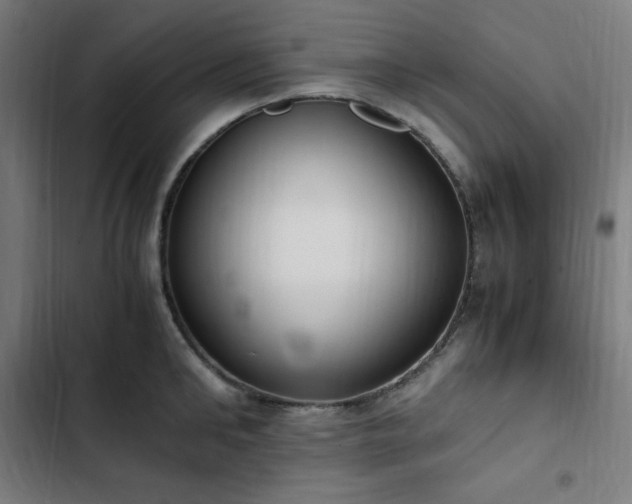 X0000103270902200809051504