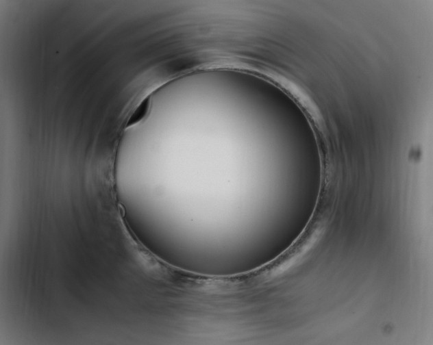X0000103270905200809051504