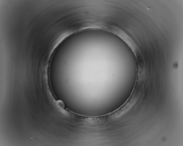 X0000103270906200809051504