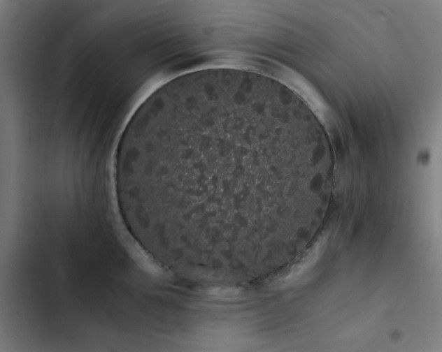 X0000103270907200809051504