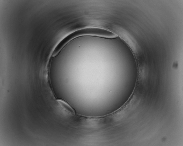 X0000103270908200809051504