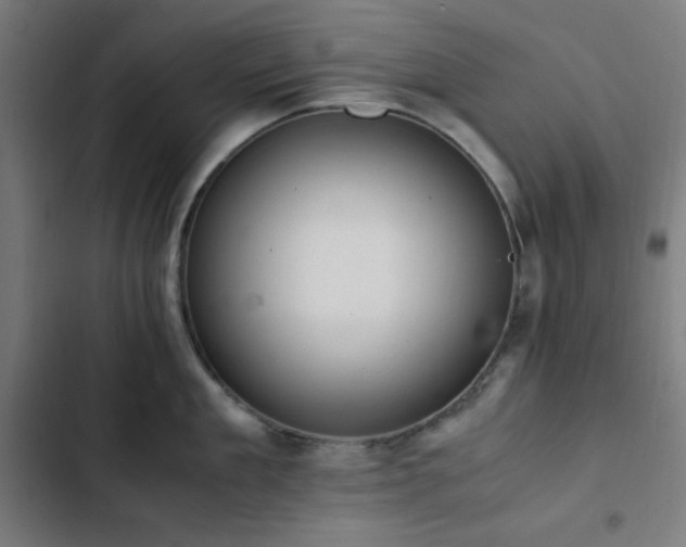X0000103270909200809051504