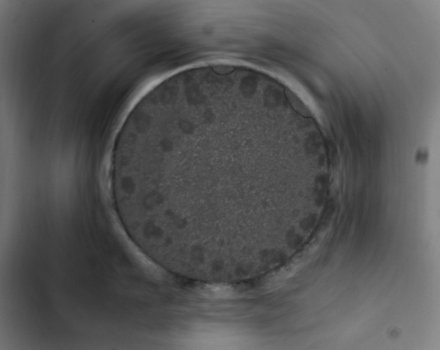 X0000103270911200809051504