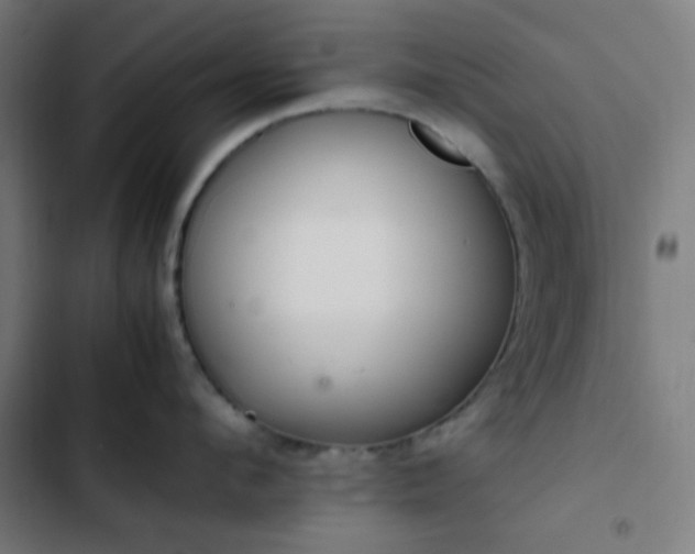 X0000103270912200809051504