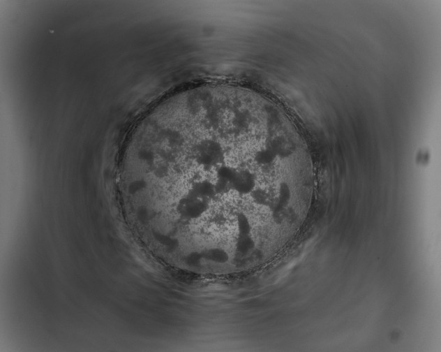 X0000103270913200809051503