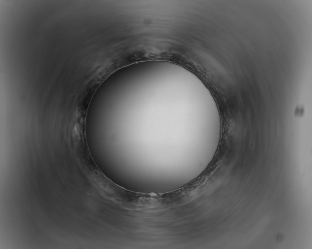 X0000103270914200809051503