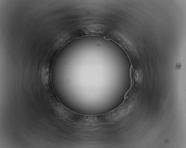 X0000103270915200809051503