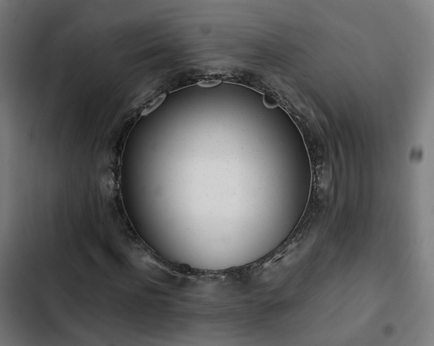 X0000103270916200809051503