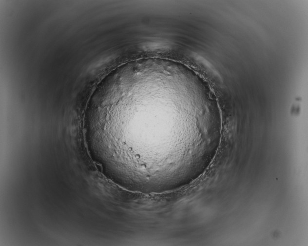 X0000103270917200809051503