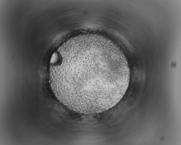 X0000103270918200809051503
