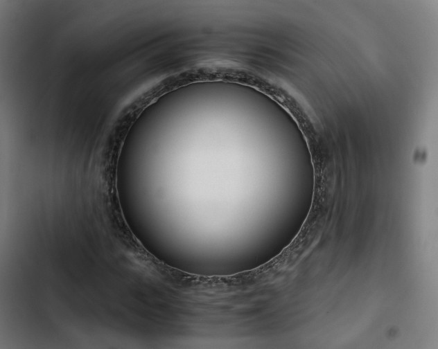 X0000103270919200809051503