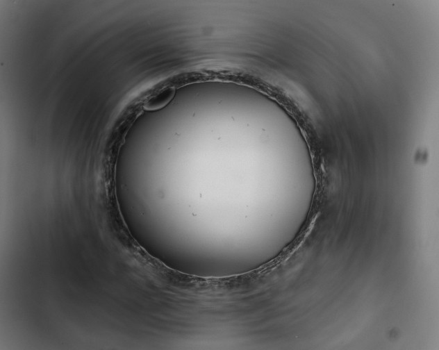X0000103270920200809051503