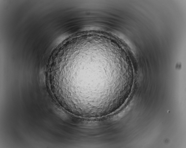 X0000103270921200809051503