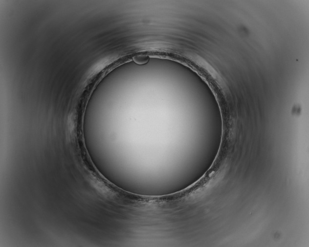 X0000103270922200809051503