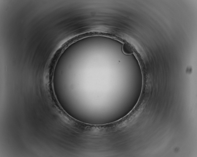 X0000103270923200809051503