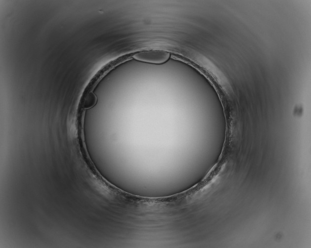 X0000103270924200809051503