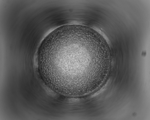 X0000103270925200809051503