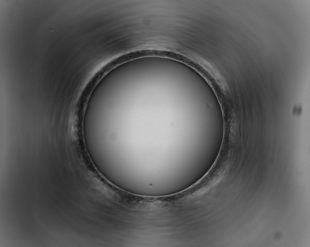 X0000103270926200809051503