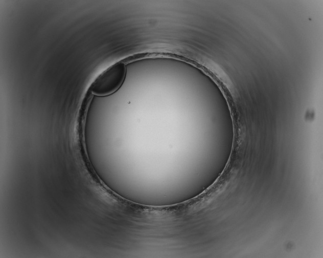 X0000103270928200809051503