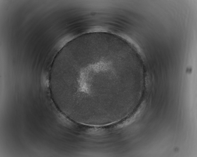 X0000103270929200809051503